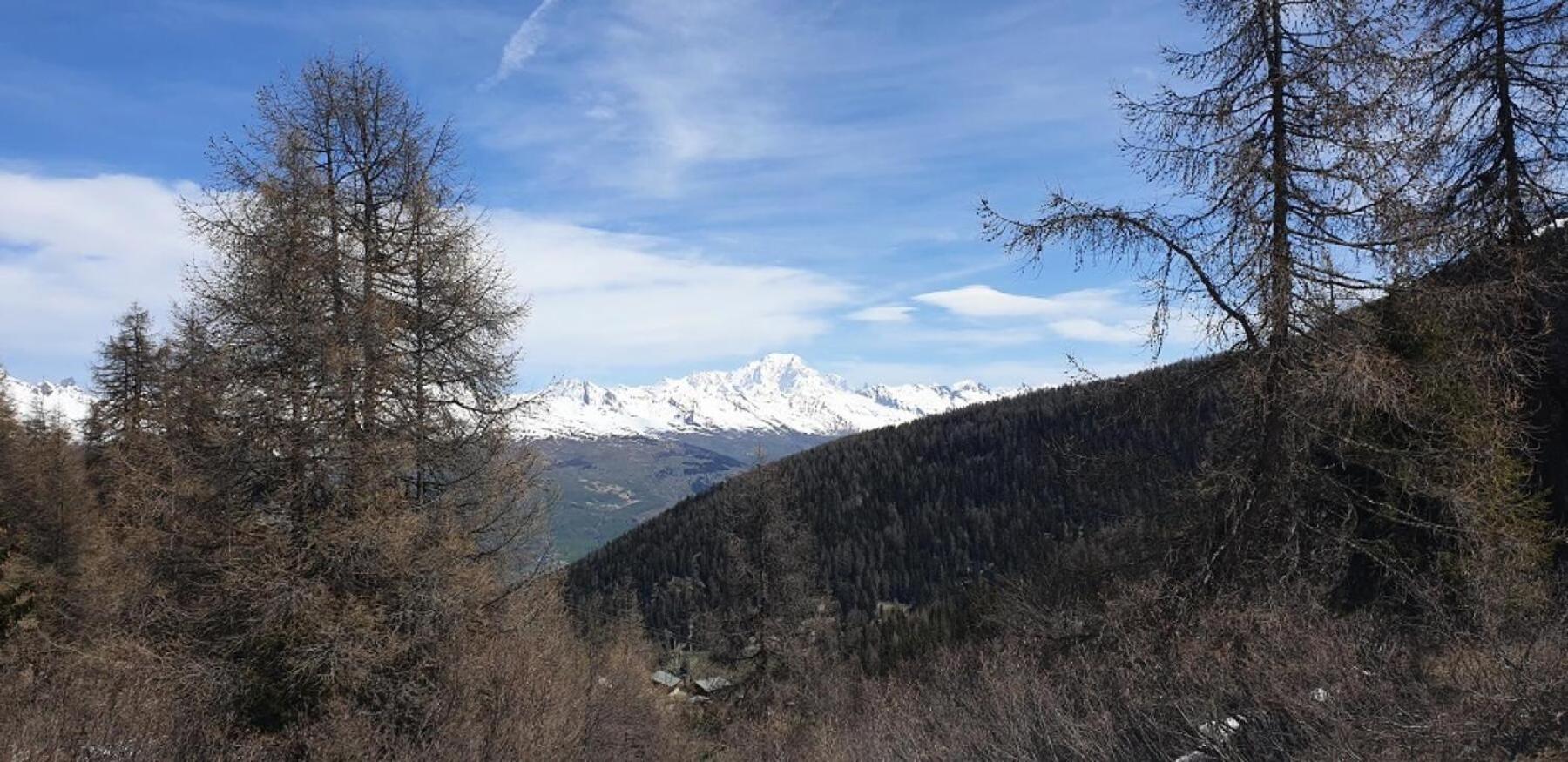 Residence Plagne Lauze - Maeva Home - Studio 2 Personnes - Selection Mae-9201 Macot-la-Plagne Kültér fotó